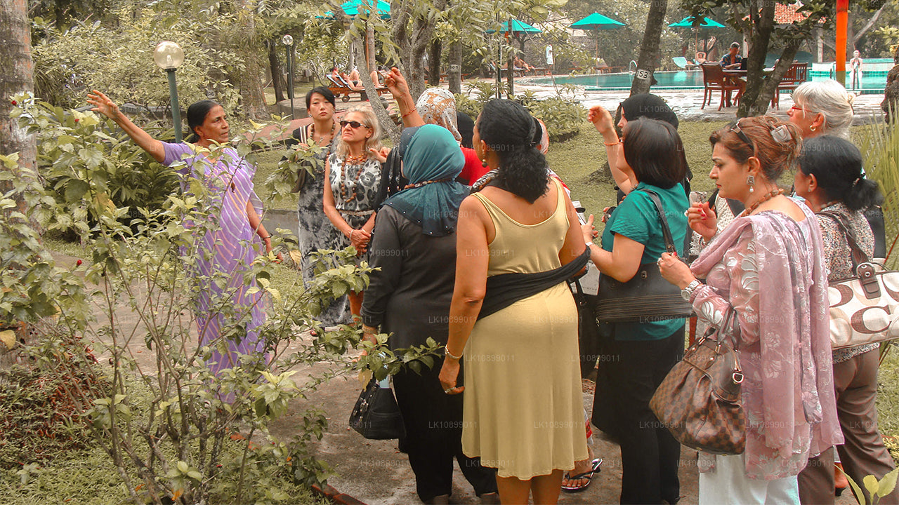 Lindring og afslapning med Siddhalepa (8 dage)