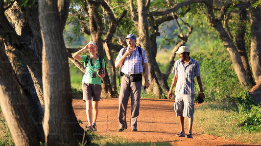 Fugle og dyreliv Tour (11 dage)