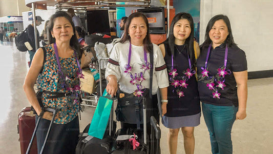 Eventyr og fritid (11 dage)