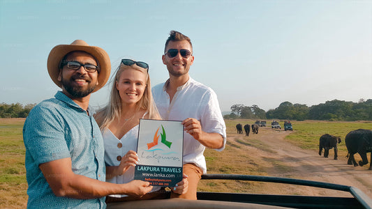 Udforsk, slappe af og forynge (12 dage)