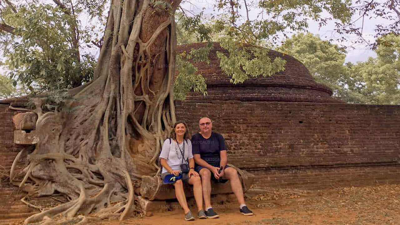 Kultur og kyst (12 Dage)