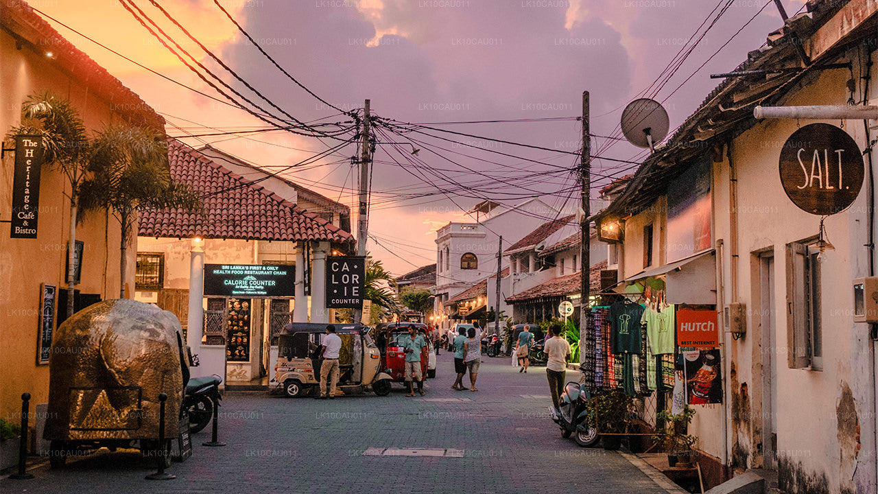 Kultur og kyst (12 Dage)