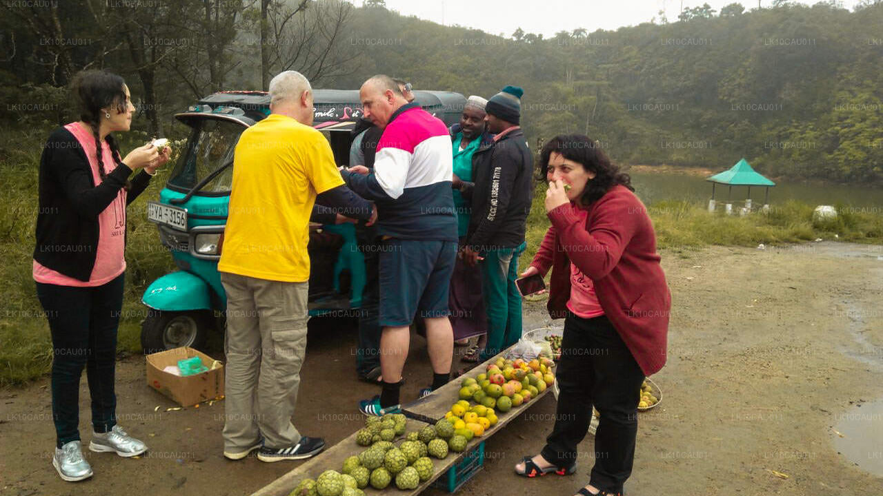 Kultur og kyst (12 Dage)