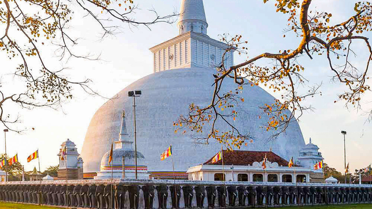 Buddhistisk pilgrimsrejse (13 dage)