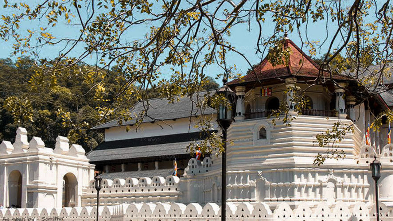 Buddhistisk pilgrimsrejse (13 dage)