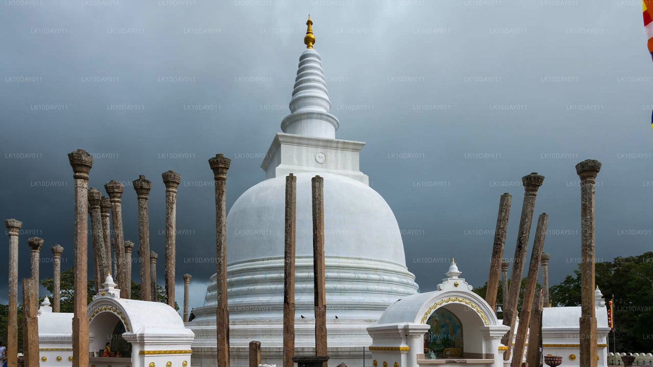 Buddhistisk pilgrimsrejse (13 dage)