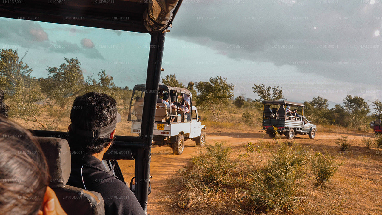 Advent Ceylon (13 Dage)