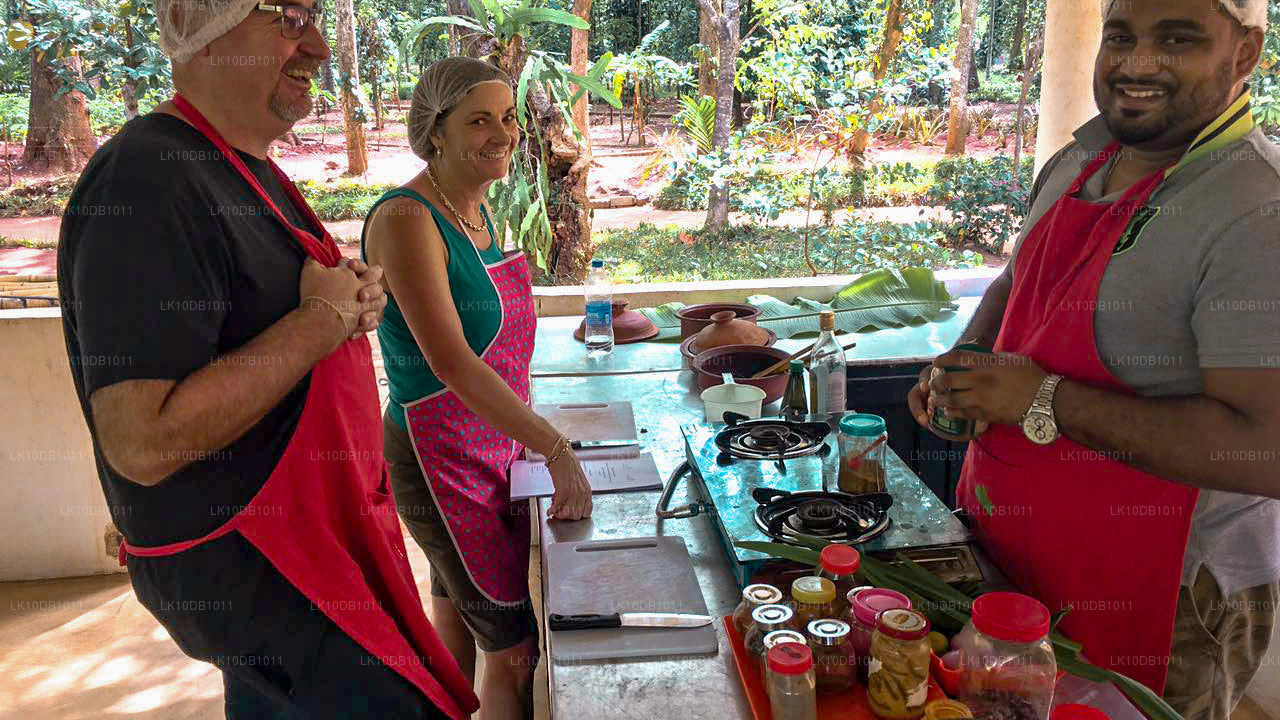 Glorious Ceylon (13 Dage)