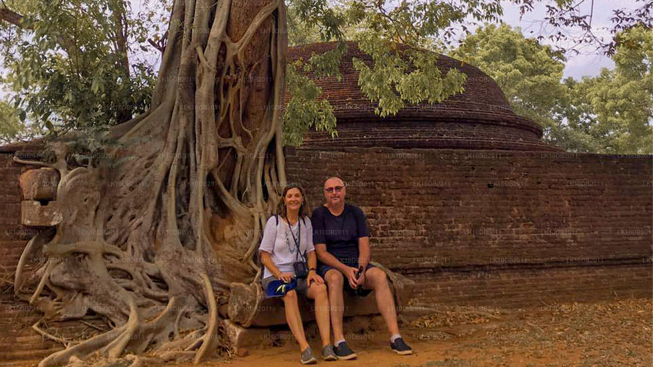 Tales of Taprobane (13 Dage)