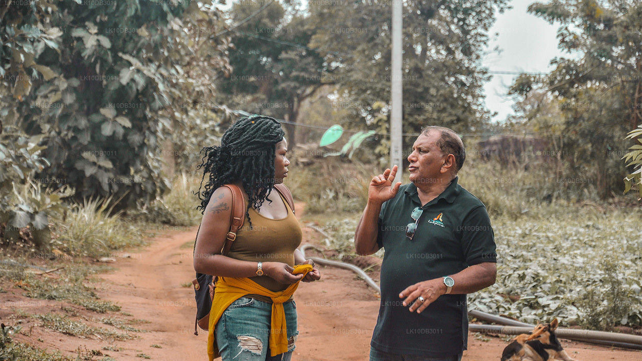 Vandretur rundt i Ceylon (13 dage)