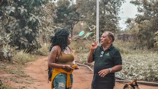 Vandretur rundt i Ceylon (13 dage)