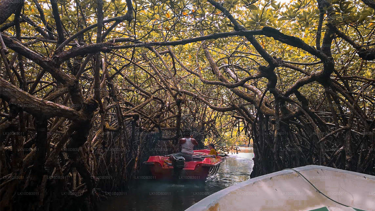 Vandretur rundt i Ceylon (13 dage)