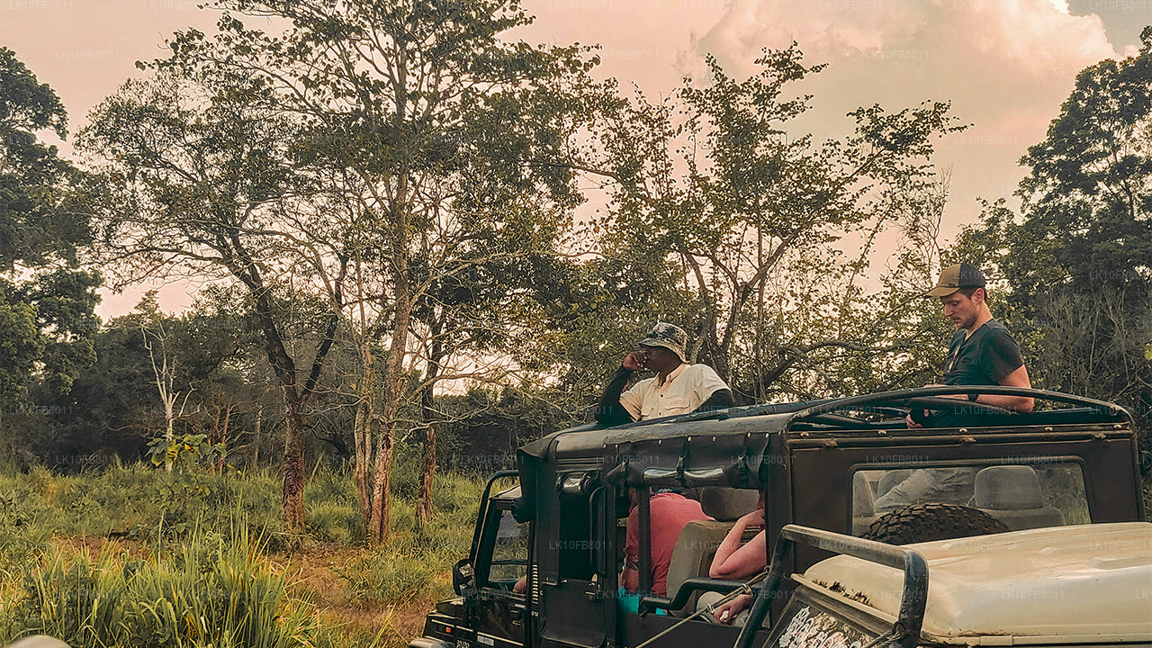 Skjulte rejser (15 dage)