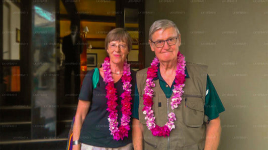 Serendipity-ruten (15 dage)