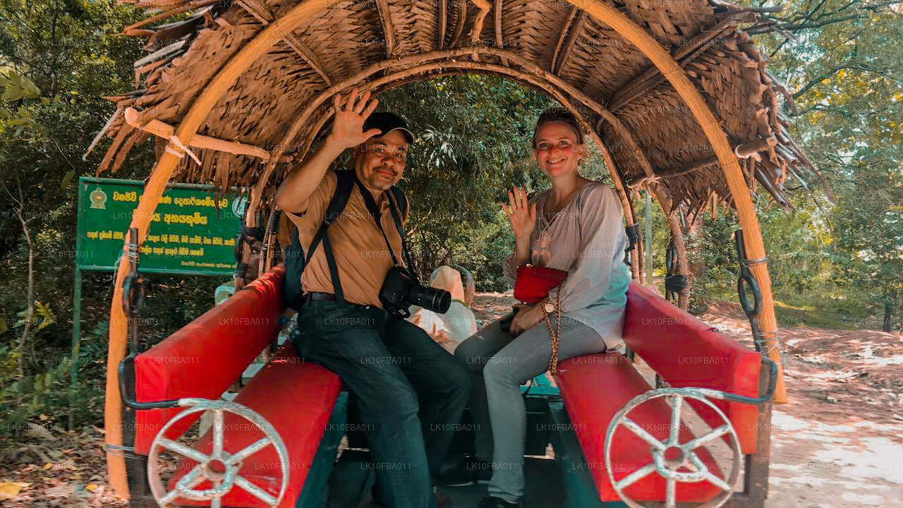 Serendipity-ruten (15 dage)