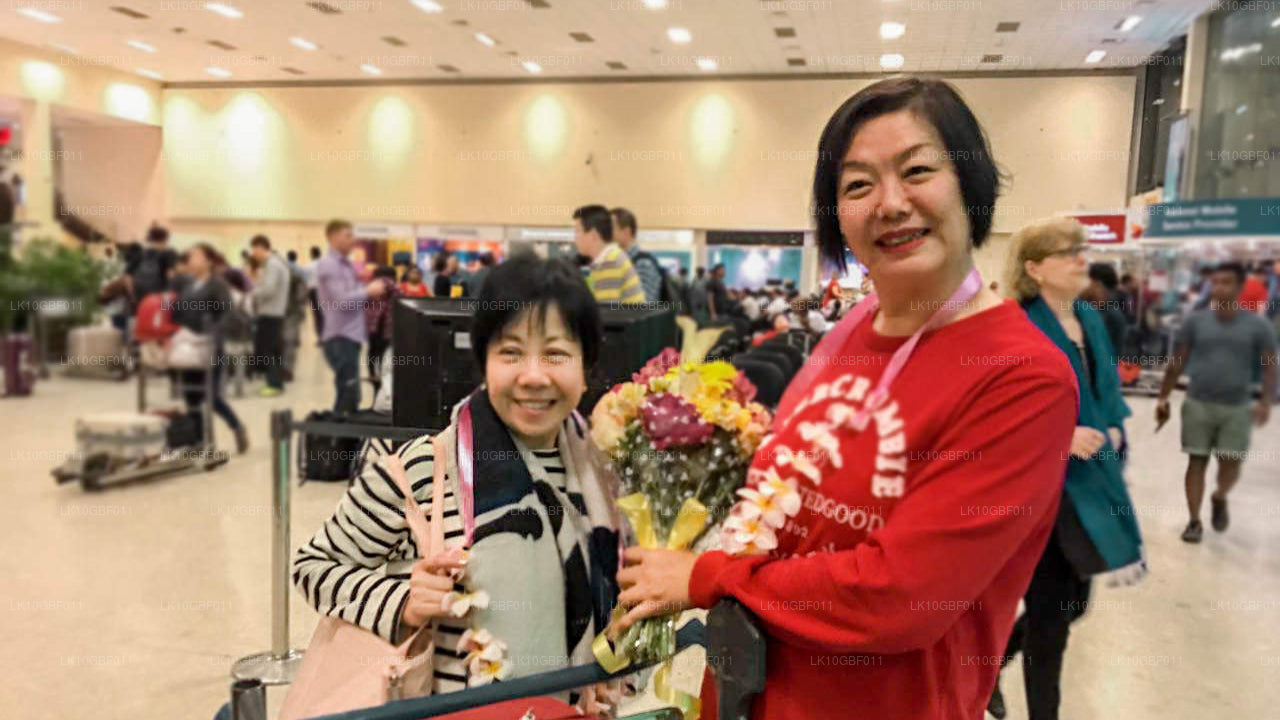 Opdage Serendib (16 Dage)