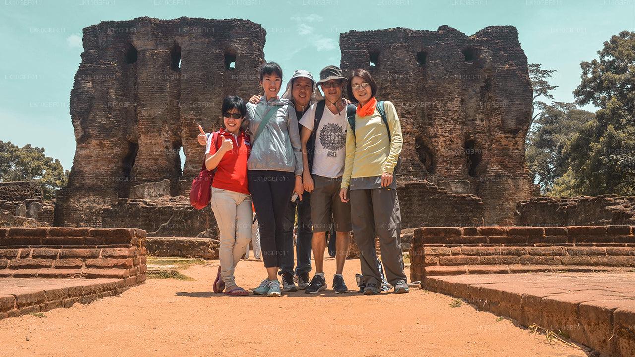 Opdage Serendib (16 Dage)