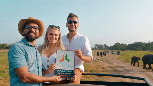 Juveler i Sri Lanka (16 Dage)