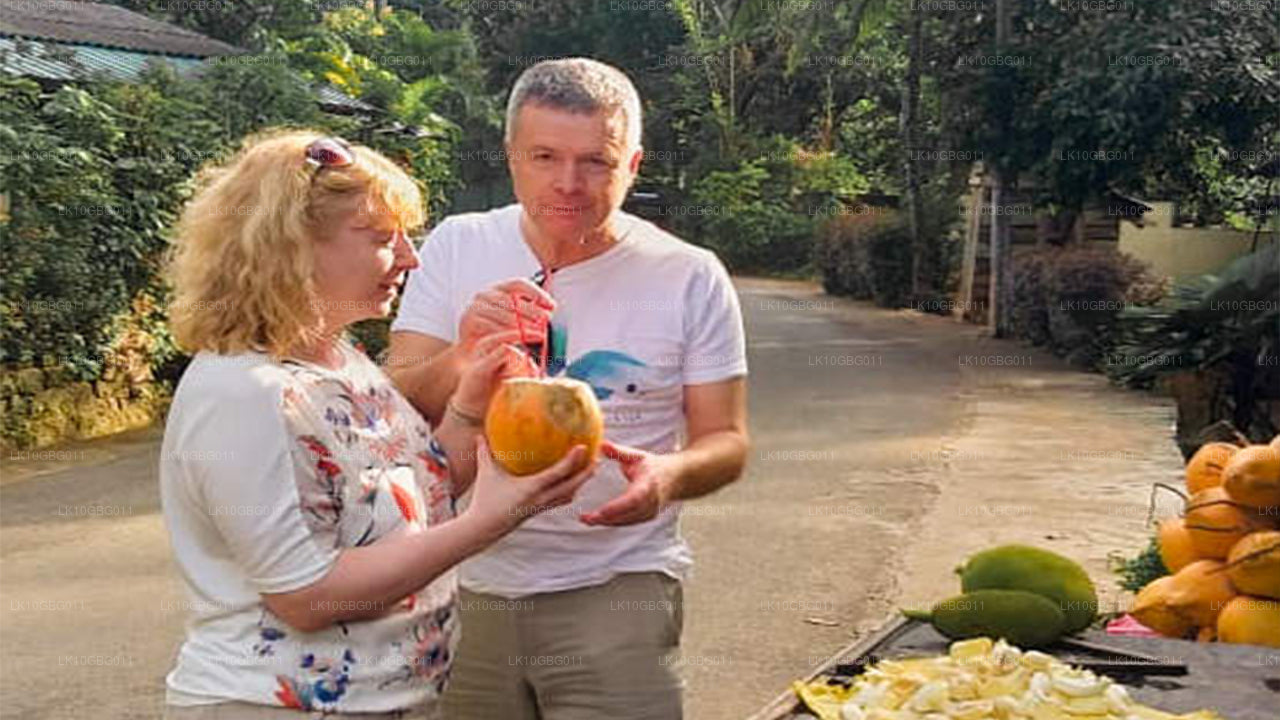 Juveler i Sri Lanka (16 Dage)