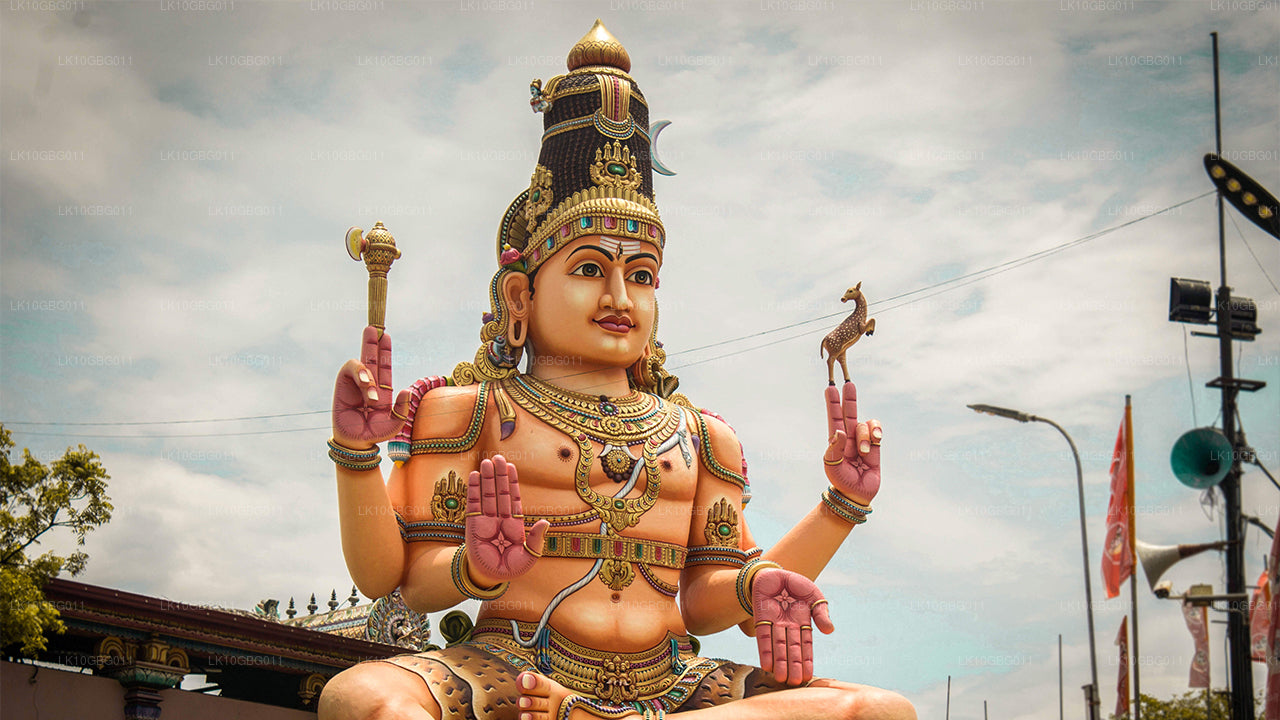 Juveler i Sri Lanka (16 Dage)