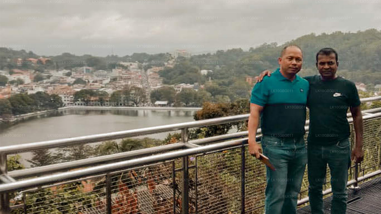 Juveler i Sri Lanka (16 Dage)