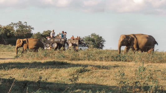 Templer og natur (22 Dage)