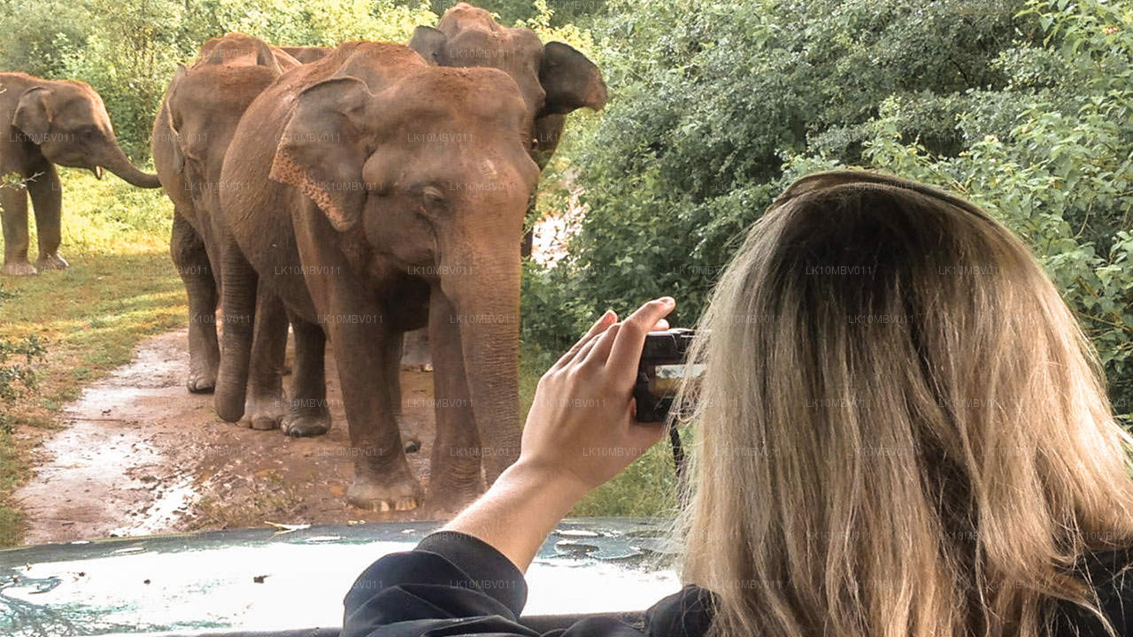 Templer og natur (22 Dage)