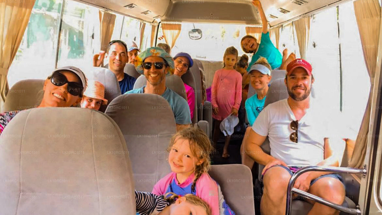 Ceylon Endearment (27 Dage)