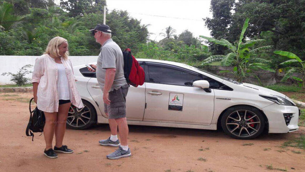 Chauffør Driven Bil (Standard) Leje