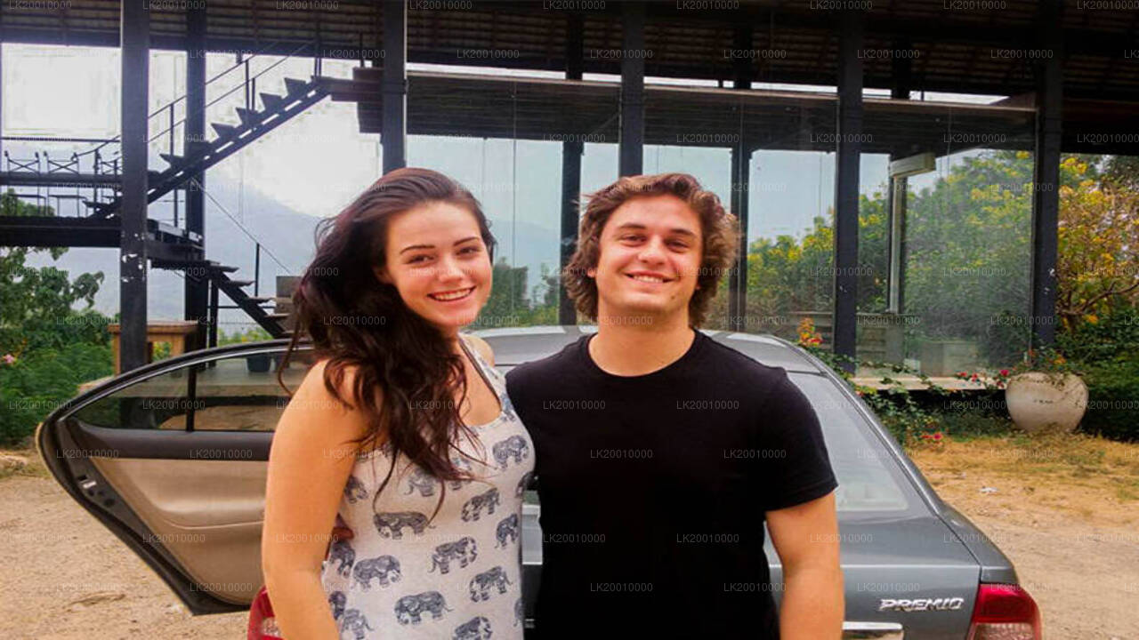 Chauffør Driven Bil (Standard) Leje