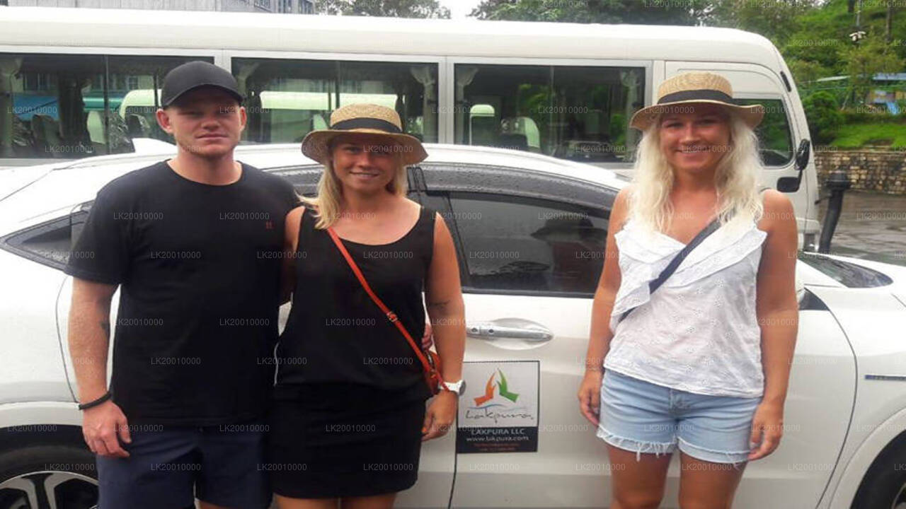 Chauffør Driven Bil (Standard) Leje