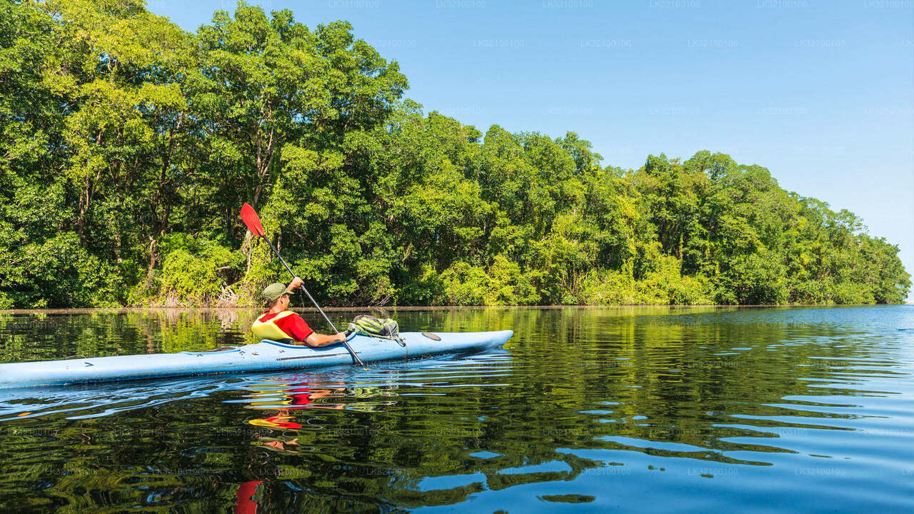 Kanosejlads fra Kitulgala
