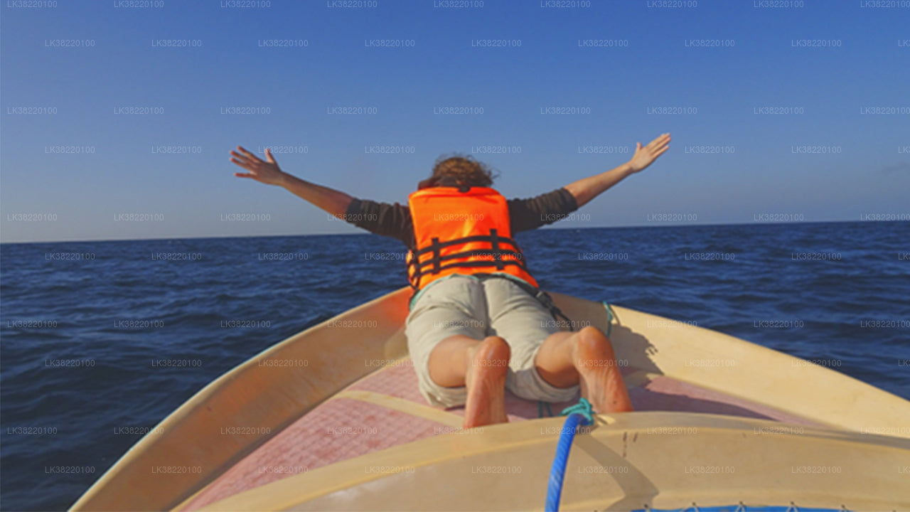 Delfinobservationstur med båd fra Trincomalee