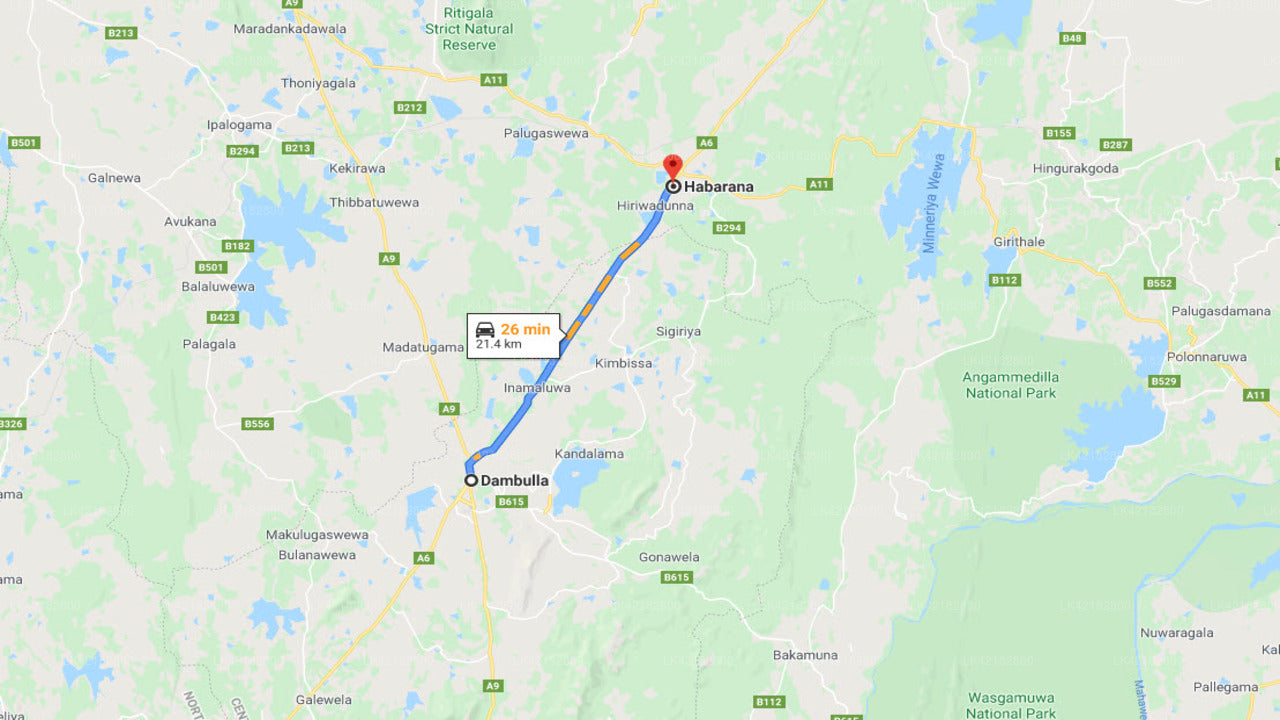 Privat transfer fra Dambulla by til Habarana by