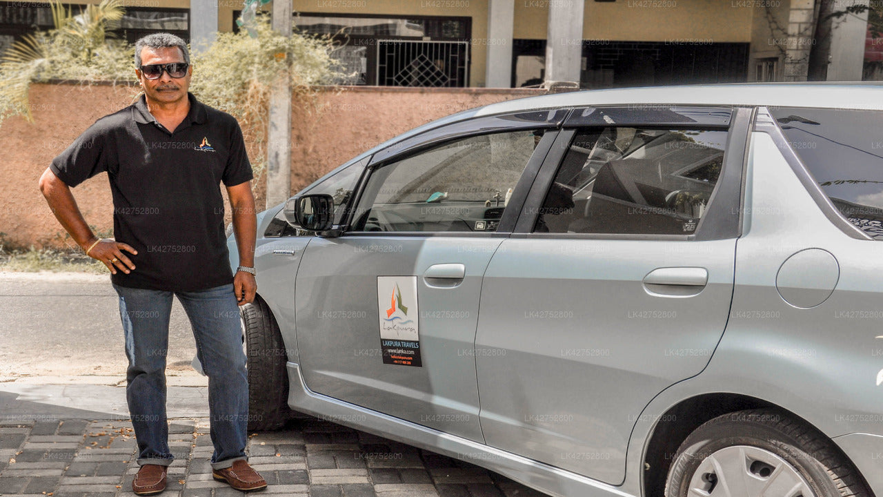 Trincomalee City to Habarana City Private Transfer