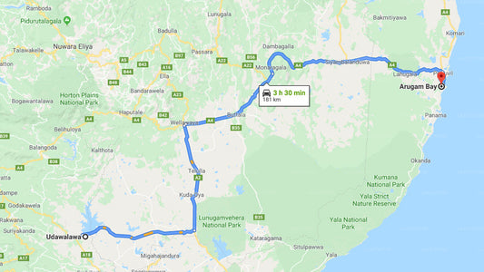 Udawalawe City to Arugam bay City Private Transfer