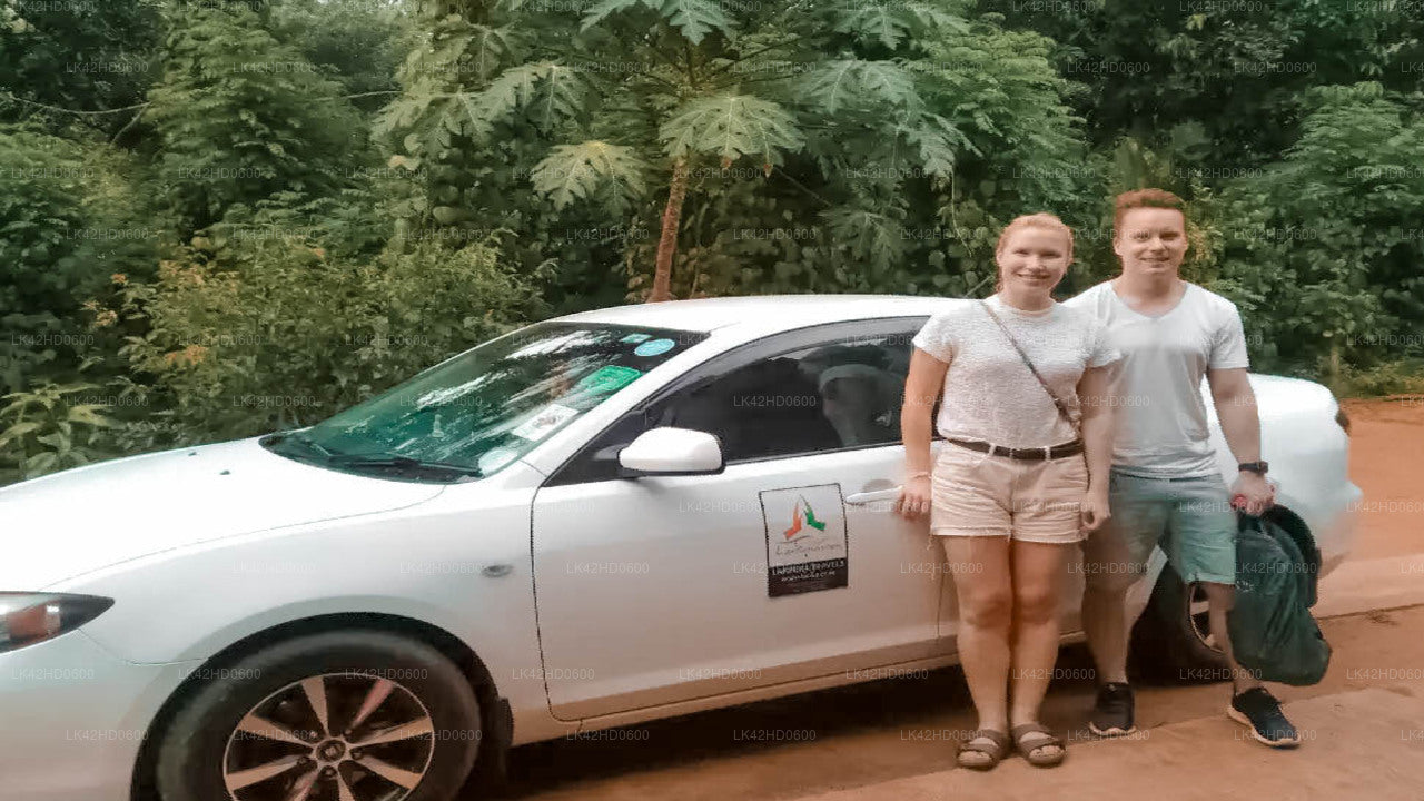 Elephant Pass City til Anuradhapura City Privat overførsel