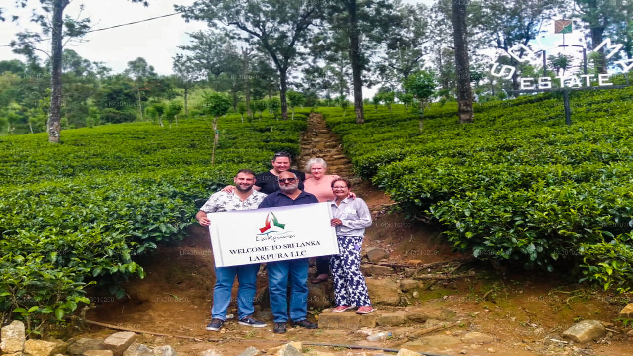 Transfer between Colombo Airport (CMB) and Galway Forest Lodge, Nuwara Eliya
