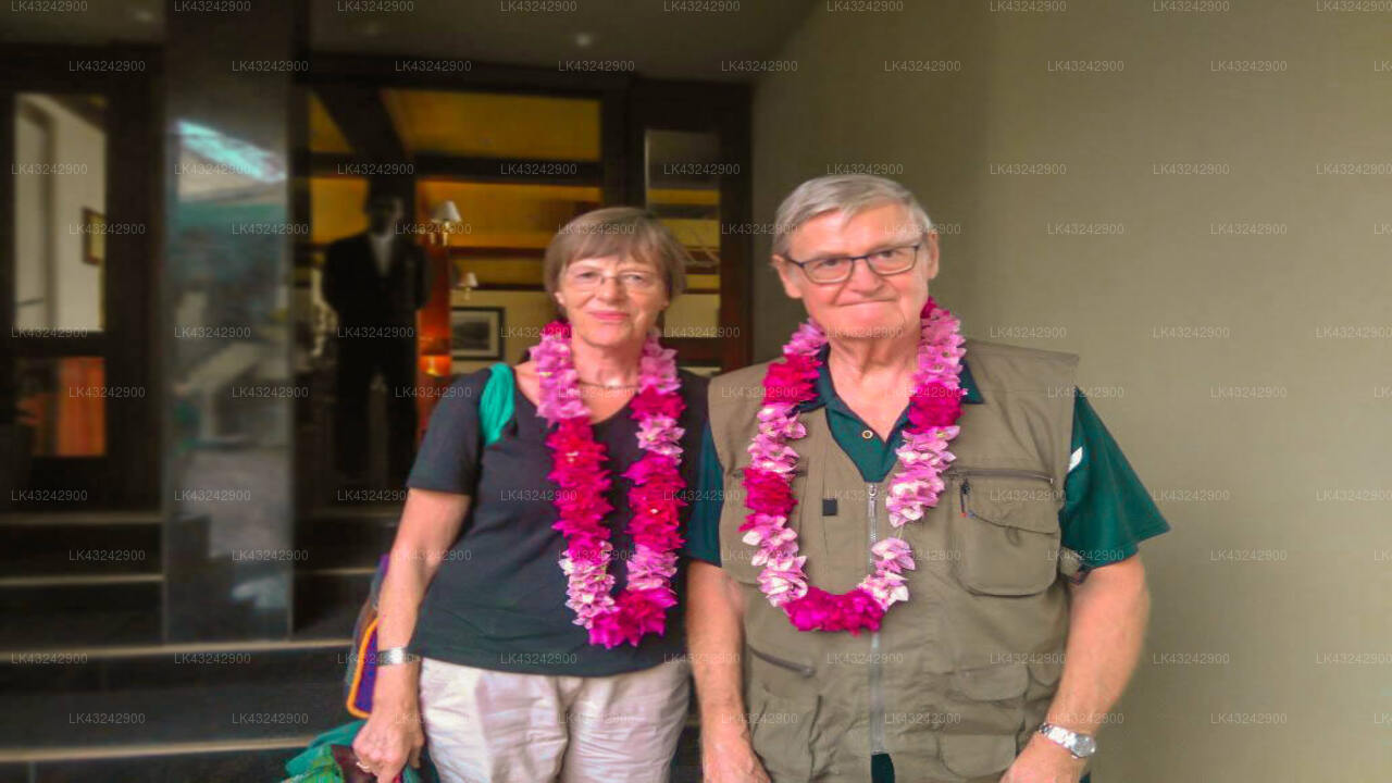 Transfer between Colombo Airport (CMB) and Yoho Little Rose Inn, Ella