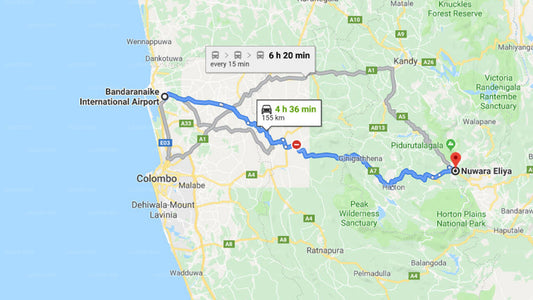 Transfer between Colombo (CMB) Airport and Amaya Langdale, Nuwara Eliya