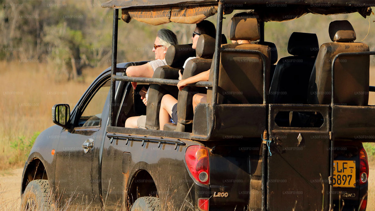 Tourists on a safari jeep ride through the wilderness, observing wildlife.
