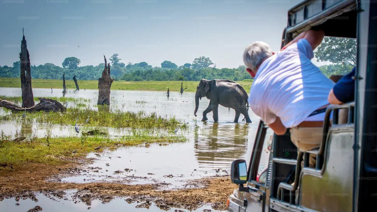 Bundala Nationalpark Privat Safari med Naturforsker