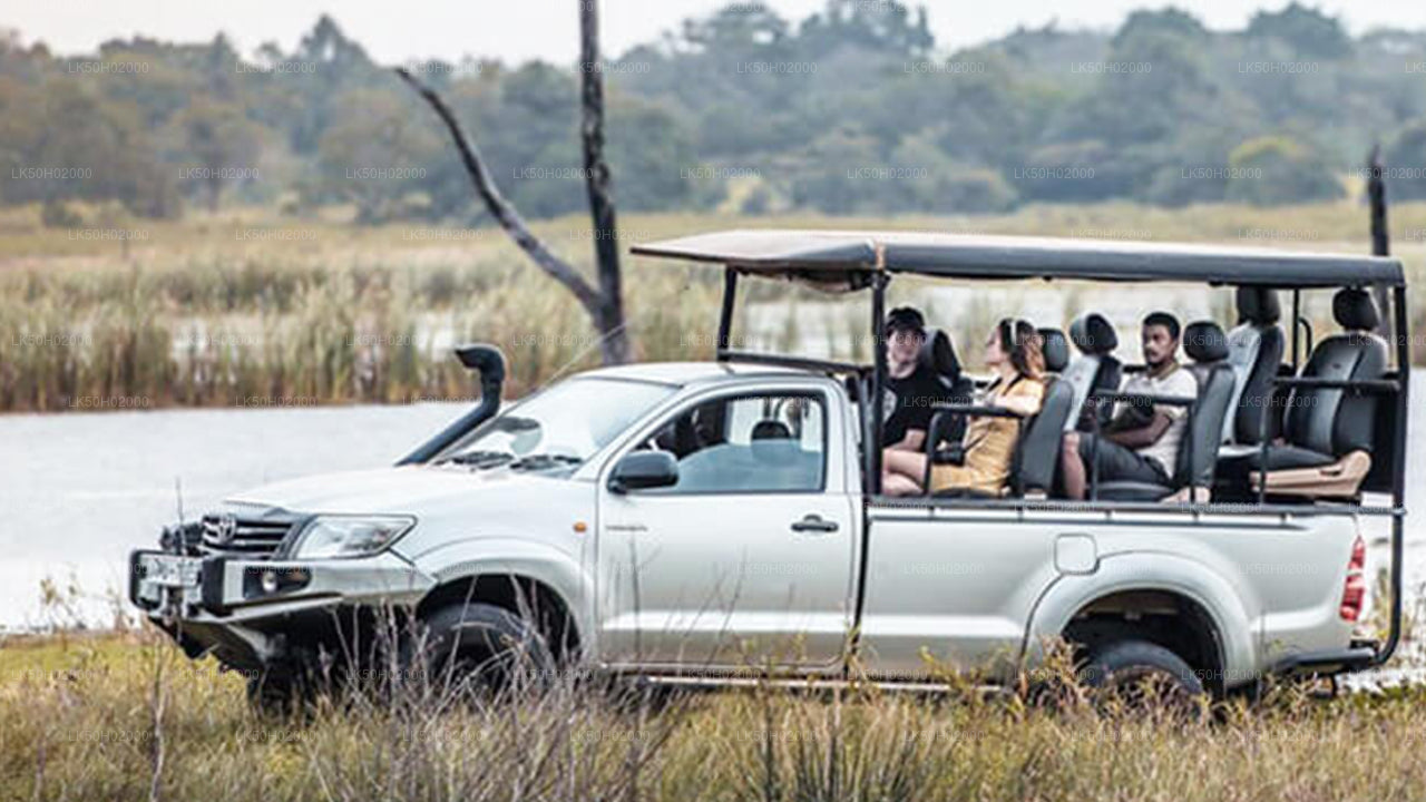 Bundala Nationalpark Privat Safari med Naturforsker