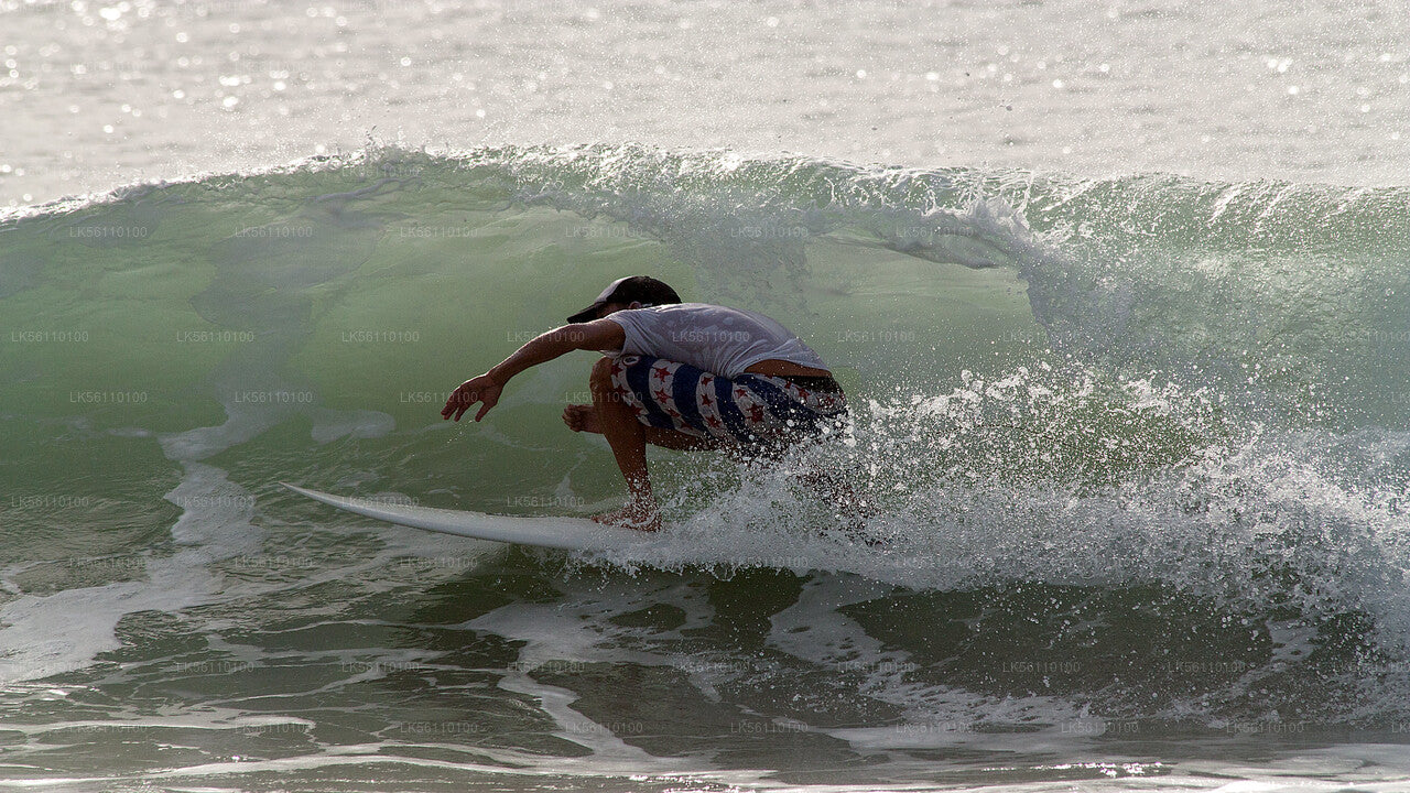 Surfing fra Hikkaduwa