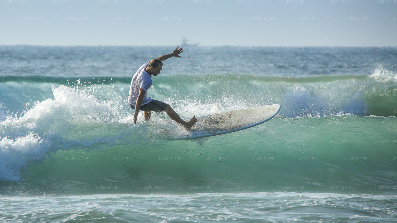 Surfing fra Hikkaduwa