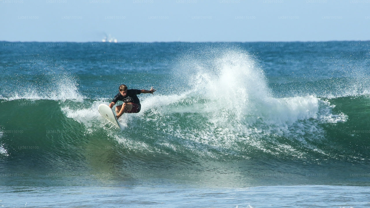 Surfing fra Hikkaduwa