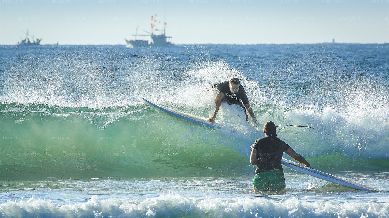 Surfing fra Hikkaduwa
