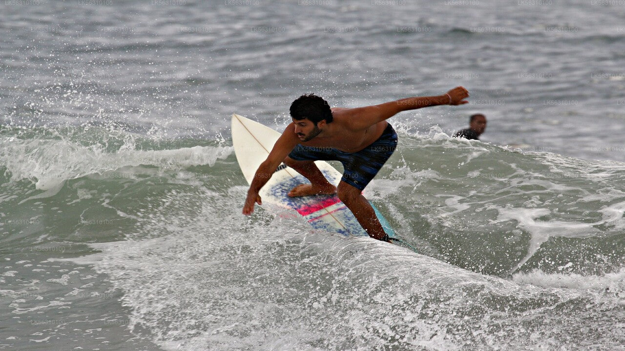 Surfing fra Ahangama