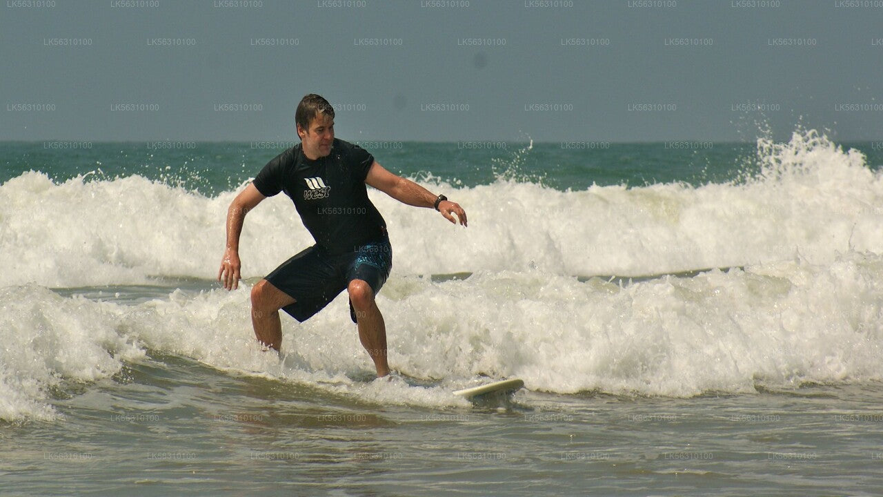 Surfing fra Ahangama