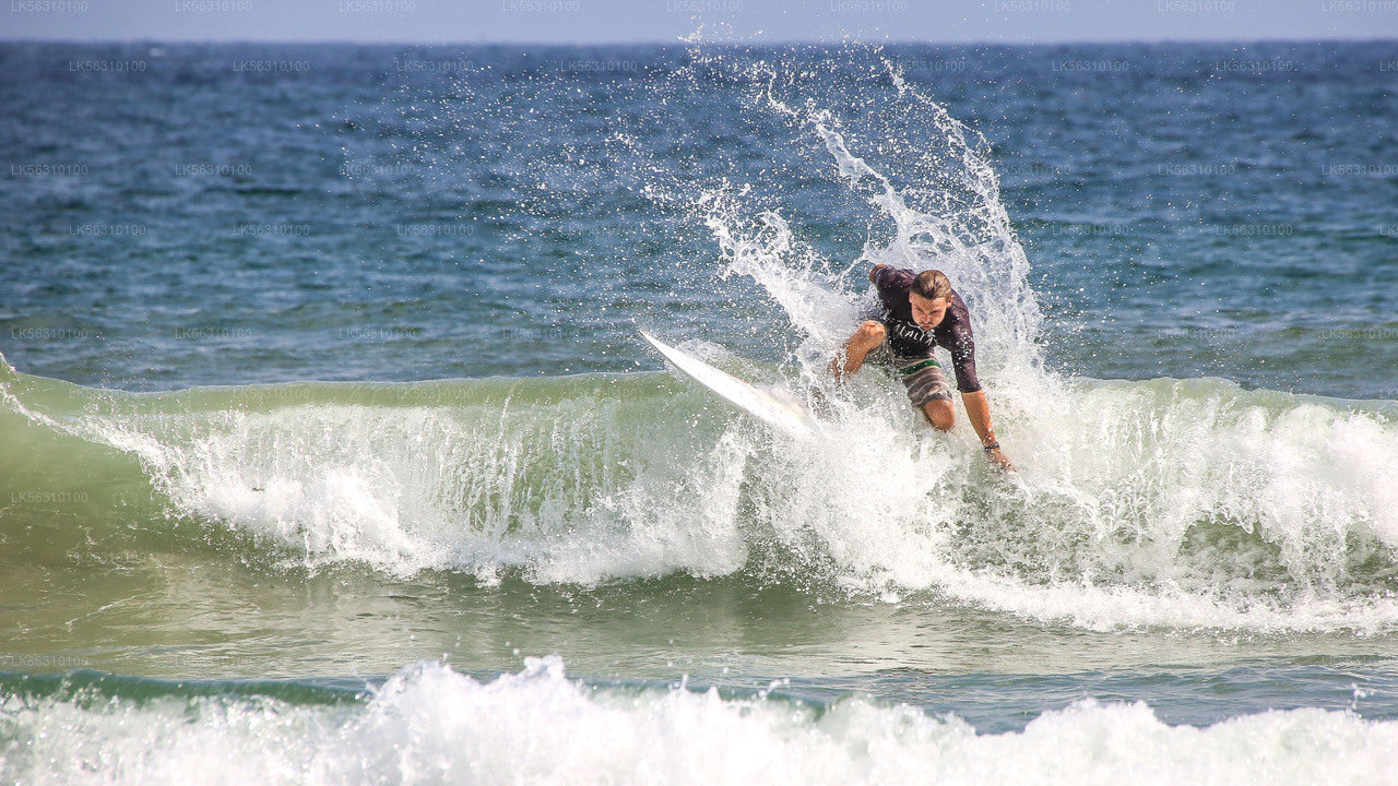 Surfing fra Ahangama
